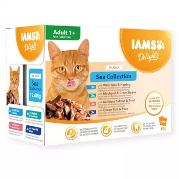 Eukanuba IAMS Delights Adult Sea in Jelly šlapias kačių maistas 12x85g