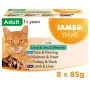 EUKANUBA IAMS DELIGHTS Land & Sea Collection in Jelly – šlapias kačių maistas – 8x85g