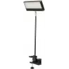 EUROLITE LED KKL-40 Floodlight 3CT juodas 40W COB RGBW DMX 41600602