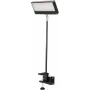 EUROLITE LED KKL-40 Floodlight 3CT juodas 40W COB RGBW DMX 41600602