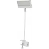 EUROLITE LED KKL-40 prožektorius 3CT baltas 41600600
