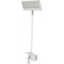 EUROLITE LED KKL-40 prožektorius 3CT baltas 41600600