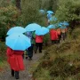 EuroSCHIRM Swing liteflex Blue Fiberglass Polyester Full-sized Rain Umbrella