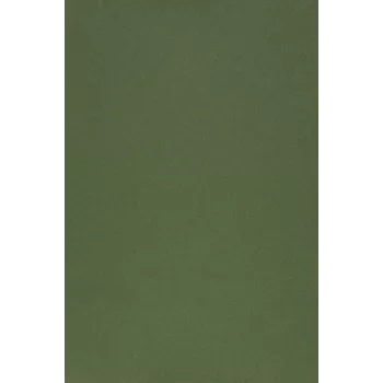 Evelatus Universal Color Shinning Film Screen Cutter Army Green