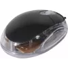 Exertis Connect 320300 abiem rankoms skirta USB optinė pelė, 800 DPI, juoda