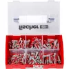 Fischer 536161 Sraigtinis inkaras / sieninis kaištis DUOPOWER 6 x 30 mm, 210 vnt.
