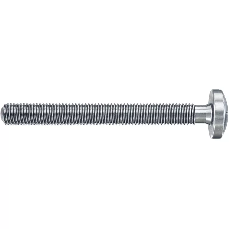 Fischer DuoHM 4x55 S PH PZ tuščiavidurių sienų inkaras 55 mm, 4 vnt. 572911