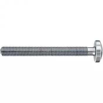 Fischer DuoHM 6x55 S PH TX tuščiavidurių sienų inkaras 55 mm, 4 vnt., 572916