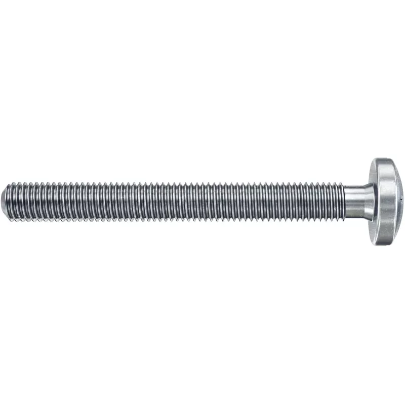 Fischer DuoHM 6x55 S PH TX tuščiavidurių sienų inkaras 55 mm, 4 vnt., 572916