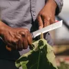Fiskars X-series K82 derliaus peilis, nerūdijančio plieno geležtė, SoftGrip rankena, 15 cm, juoda/oranžinė