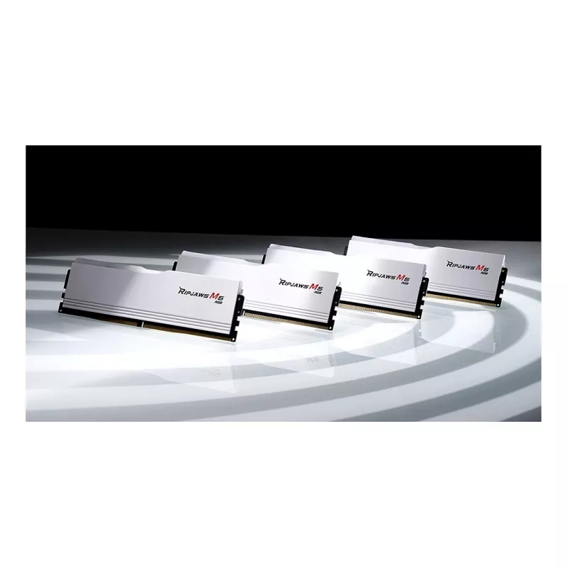 G.Skill Trident Z5 RGB 48GB (2x24GB) DDR5-6000 CL30 darbalaukio RAM - matinė juoda