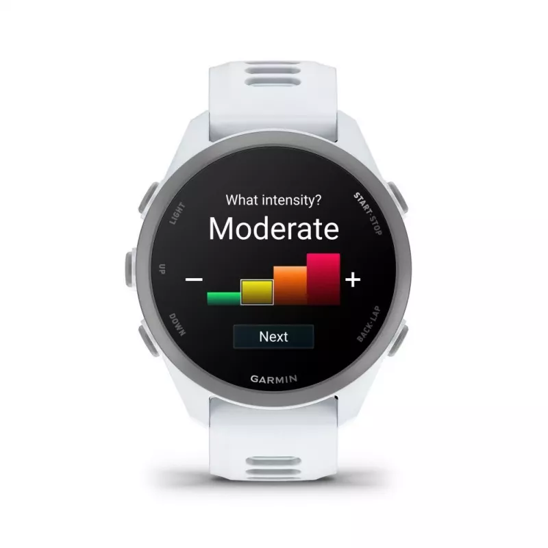 Garmin Forerunner 170 Music, Whitestone su Whitestone/Cloud Blue apyranke