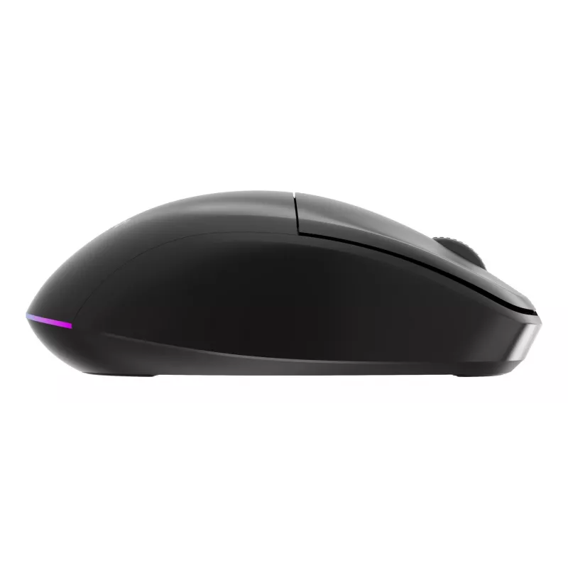 Gembird MUSW2-6B-01 belaidė pelė su dvigubu ryšiu, 2.4 GHz + Bluetooth 5.0, 1600 DPI, 6 mygtukai, juoda