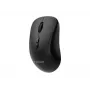 Gembird MUSW2-7B-01 belaidė pelė su dvejopu ryšiu (2.4G + Bluetooth), 1600 DPI, 7 mygtukai, juoda