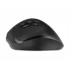 Gembird MUSW3-9B-01 belaidė ergonominė pelė su trimis režimais (2.4 GHz + Bluetooth + USB-C), 2400 DPI, 9 mygtukai, juoda