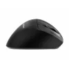 Gembird MUSW3-9B-01 belaidė ergonominė pelė su trimis režimais (2.4 GHz + Bluetooth + USB-C), 2400 DPI, 9 mygtukai, juoda