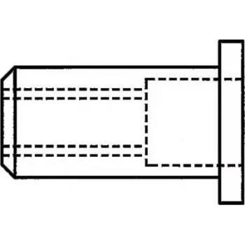 GESIPA aklinė kniedinė veržlė M10 x 12 x 17,5 mm, plieninė cinkuota, plokščia galvutė, suėmimas 0,25–3,5 mm, 100 vnt. pakuotė (1433709)