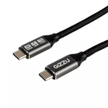 GIZZU 100W 10Gbps USB-C 2m laidas