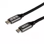 GIZZU 100W 10Gbps USB-C 2m laidas