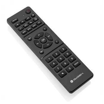 GoGen IR 257 BTDAB internetinis skaitmeninis sidabrinis