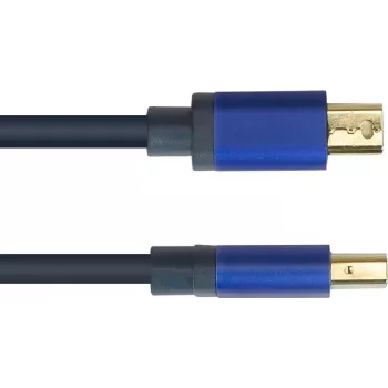 GoodConnections Alcasa 4824-SF010B Mini DisplayPort į DisplayPort kabelis 1m mėlynas 4K@60Hz