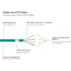GoodConnections RNS® Cat. 6A S/FTP halogen-free (LSZH) jungiamasis kabelis su apsauga nuo užkabinimo, 3 m, žalias
