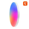 Gosund LB11 protingas lubinis šviestuvas 32cm WiFi Bluetooth RGBCW 1920lm Tuya + nuotolinio valdymo pultelis