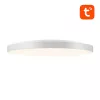 Gosund LB11 protingas lubinis šviestuvas 32cm WiFi Bluetooth RGBCW 1920lm Tuya + nuotolinio valdymo pultelis