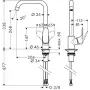 HANSGROHE Focus virtuvinis maišytuvas 31820000 chromuotas