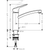 HANSGROHE Logis 160 virtuvės maišytuvas, pasukamas snapelis, chromuotas