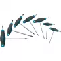 HAZET 829KKT/7 T-Profile Torx atsuktuvų rinkinys, 7 dalių (T10-T40)