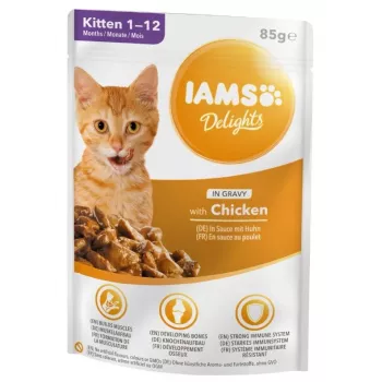 IAMS Delights Kitten Chicken in Gravy šlapias kačių maistas kačiukams, 12 x 85 g pakeliai