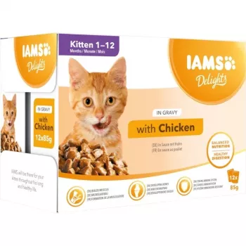 IAMS Delights Kitten Chicken in Gravy šlapias kačių maistas kačiukams, 12 x 85 g pakeliai