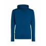 Icebreaker Quantum IV LS Zip Hoodie Vyriškas (Atlantis spalva)