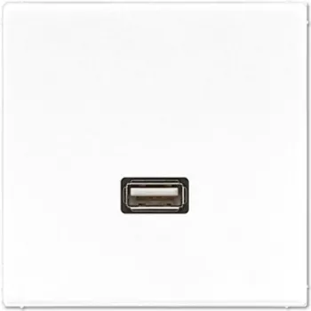 JUNG LS-Series USB 2.0 prijungimo modulis, Alpine White (MALS1122WW)