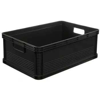 keeeper Robert 45L grafito transportavimo dėžė su dangčiu, 30kg apkrova, 60x40x22cm, sukraunama