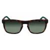 Lacoste L956S-230 vyriški akiniai nuo saulės Havana Brown Rectangular Acetate 55mm