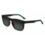 Lacoste L956S-230 vyriški akiniai nuo saulės Havana Brown Rectangular Acetate 55mm