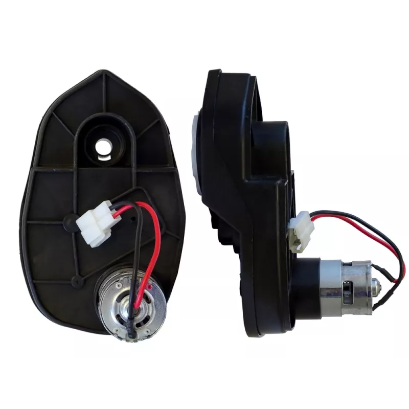 LEAN CARS 24V 12000 RPM variklis su reduktoriumi, skirtas BLT-206 važiuoklei