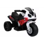 LEAN CARS Motorbike BMW S1000RR Red