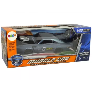 LEAN TOYS Car R/C Sports Sticker 1:20 Grey Pilot