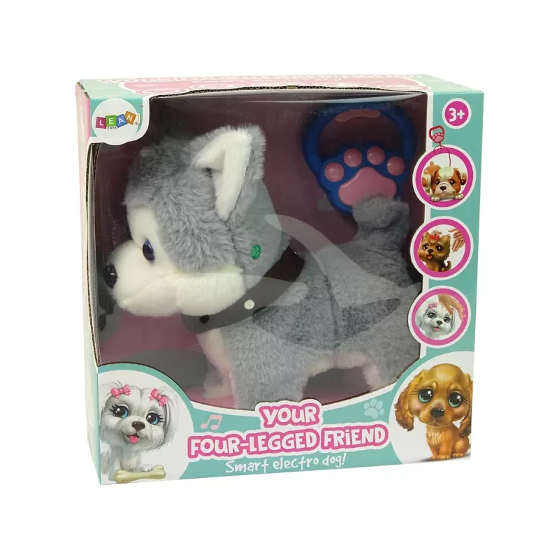 LEAN TOYS Plush Dog Interactive Educational Leash Songs Walks