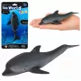 LEAN TOYS Rubber Sea Dolphin Figūrėlė Minkšta Realistiška TPR Tamsiai Pilka 17,5 cm