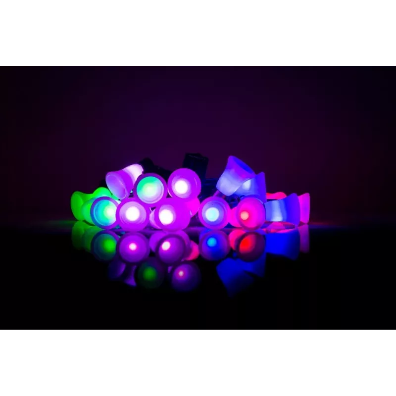 LED girlianda su varpeliais, 20 šiltų baltų LED, 2,5 m, baterijomis, auksinė | Kur.lt