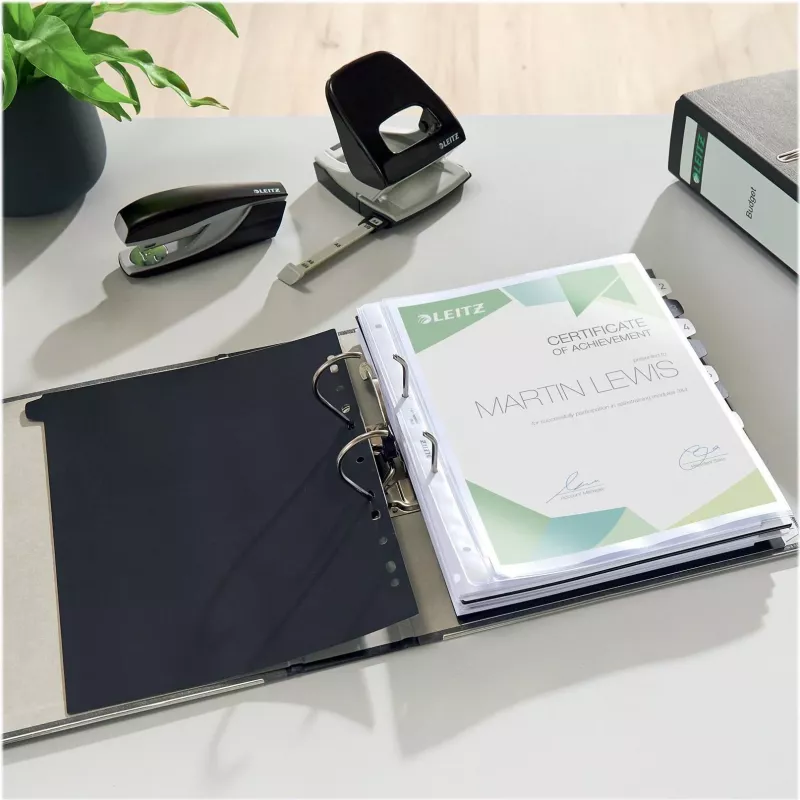 Leitz 1080-50-95 A4 dokumentų segtuvas su svirtimi, 80 mm, juodas