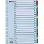 LEITZ A4 Mylar A-Z registro skirtukai, 26 liežuvėliai, įvairiaspalviai, universalus perforavimas, 160 gsm, 1 rinkinys (100167)