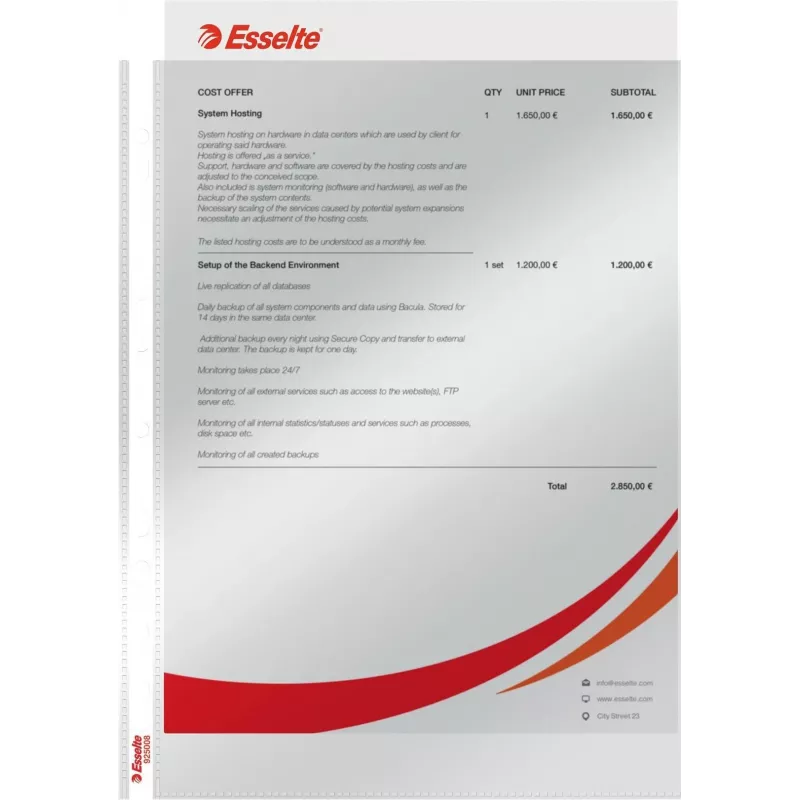 LEITZ Esselte Standard dokumentų įmautė A4, polipropilenas, kristališkai skaidri, 0,06 mm, atidaroma iš viršaus, dokumentams saugi, daugiausia perforuota, sustiprintas kraštas, 100 vnt. paketas (925008)