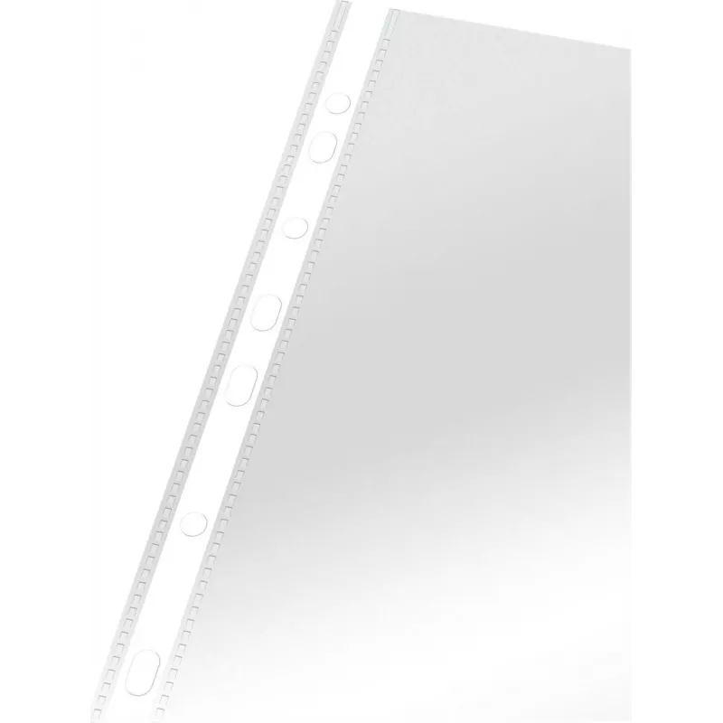 LEITZ Esselte Standard dokumentų įmautė A4, polipropilenas, kristališkai skaidri, 0,06 mm, atidaroma iš viršaus, dokumentams saugi, daugiausia perforuota, sustiprintas kraštas, 100 vnt. paketas (925008)