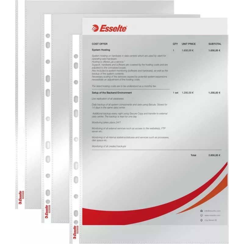 LEITZ Esselte Standard dokumentų įmautė A4, polipropilenas, kristališkai skaidri, 0,06 mm, atidaroma iš viršaus, dokumentams saugi, daugiausia perforuota, sustiprintas kraštas, 100 vnt. paketas (925008)
