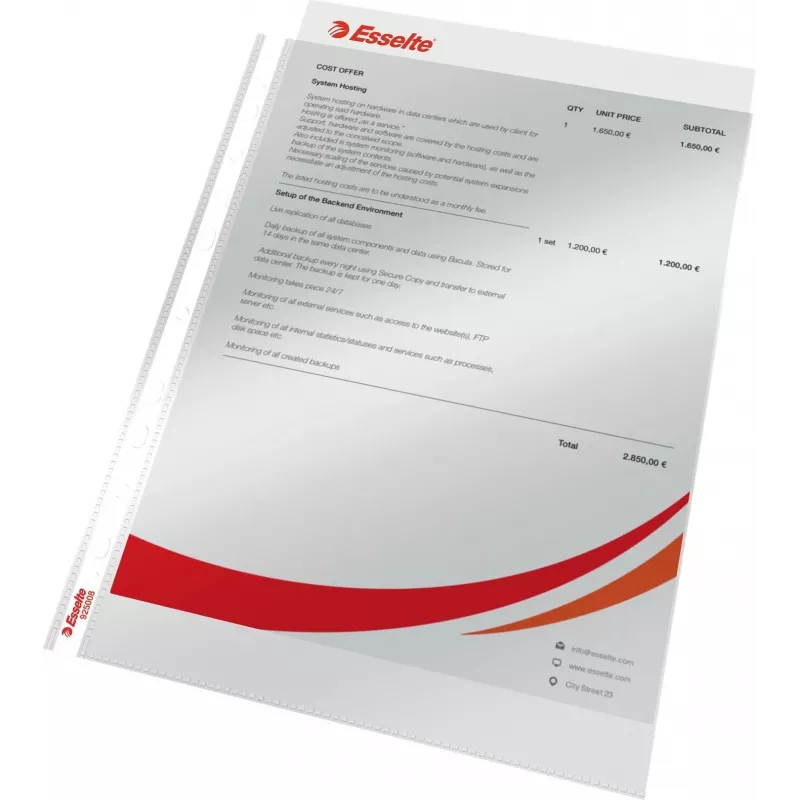 LEITZ Esselte Standard dokumentų įmautė A4, polipropilenas, kristališkai skaidri, 0,06 mm, atidaroma iš viršaus, dokumentams saugi, daugiausia perforuota, sustiprintas kraštas, 100 vnt. paketas (925008)